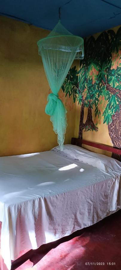 Hostel La Gloria Ometepe Ngoại thất bức ảnh
