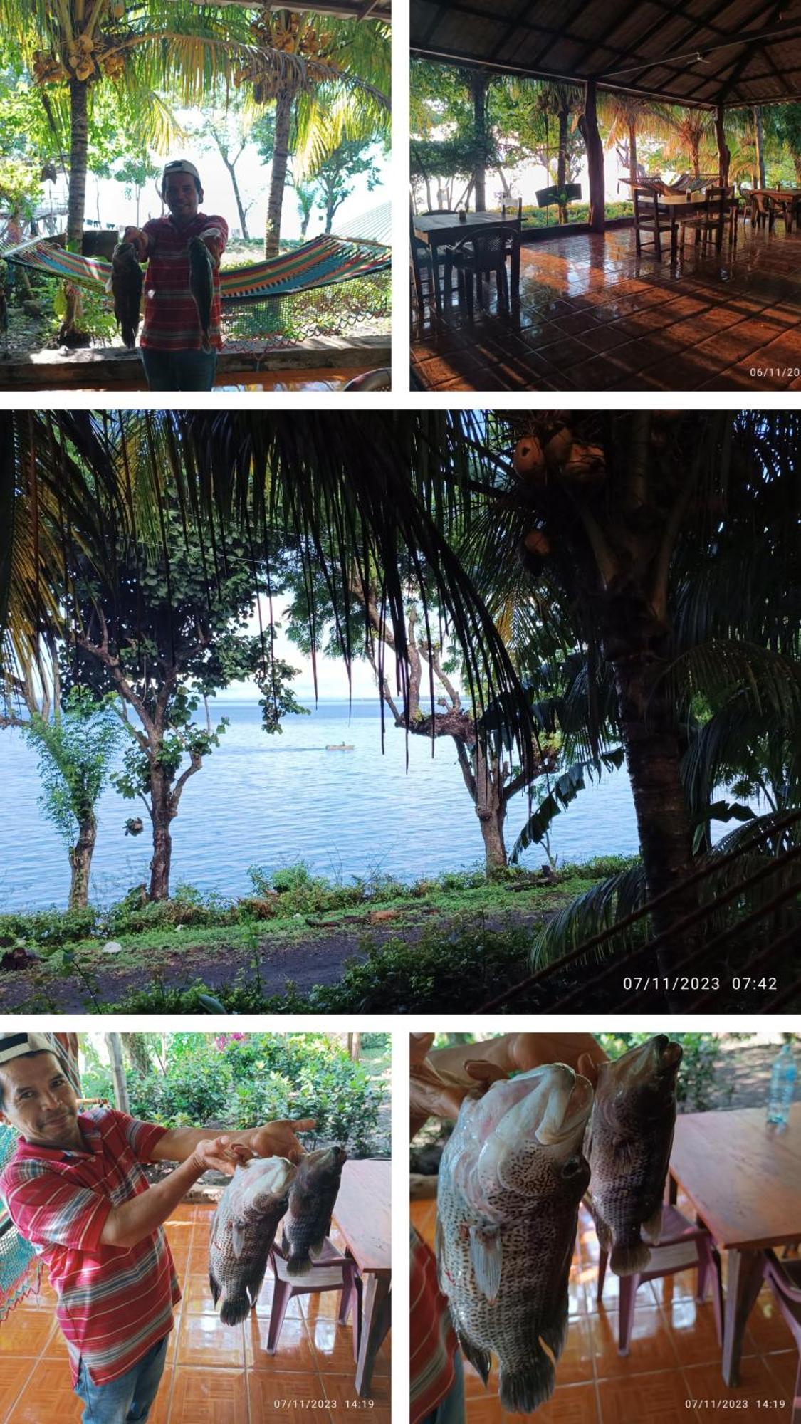 Hostel La Gloria Ometepe Ngoại thất bức ảnh