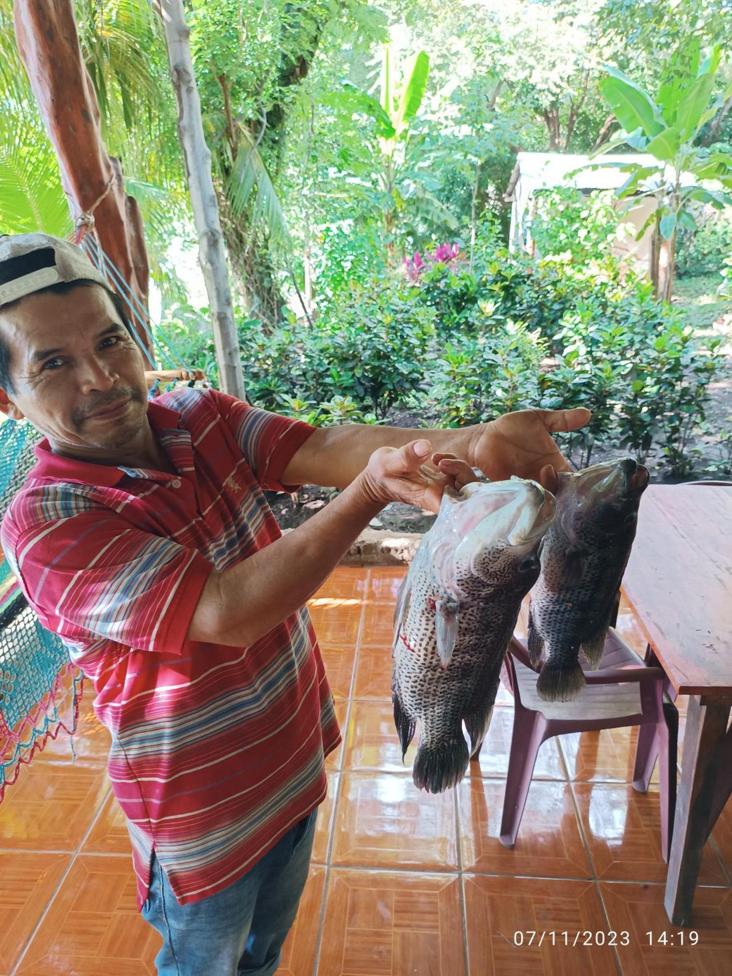 Hostel La Gloria Ometepe Ngoại thất bức ảnh