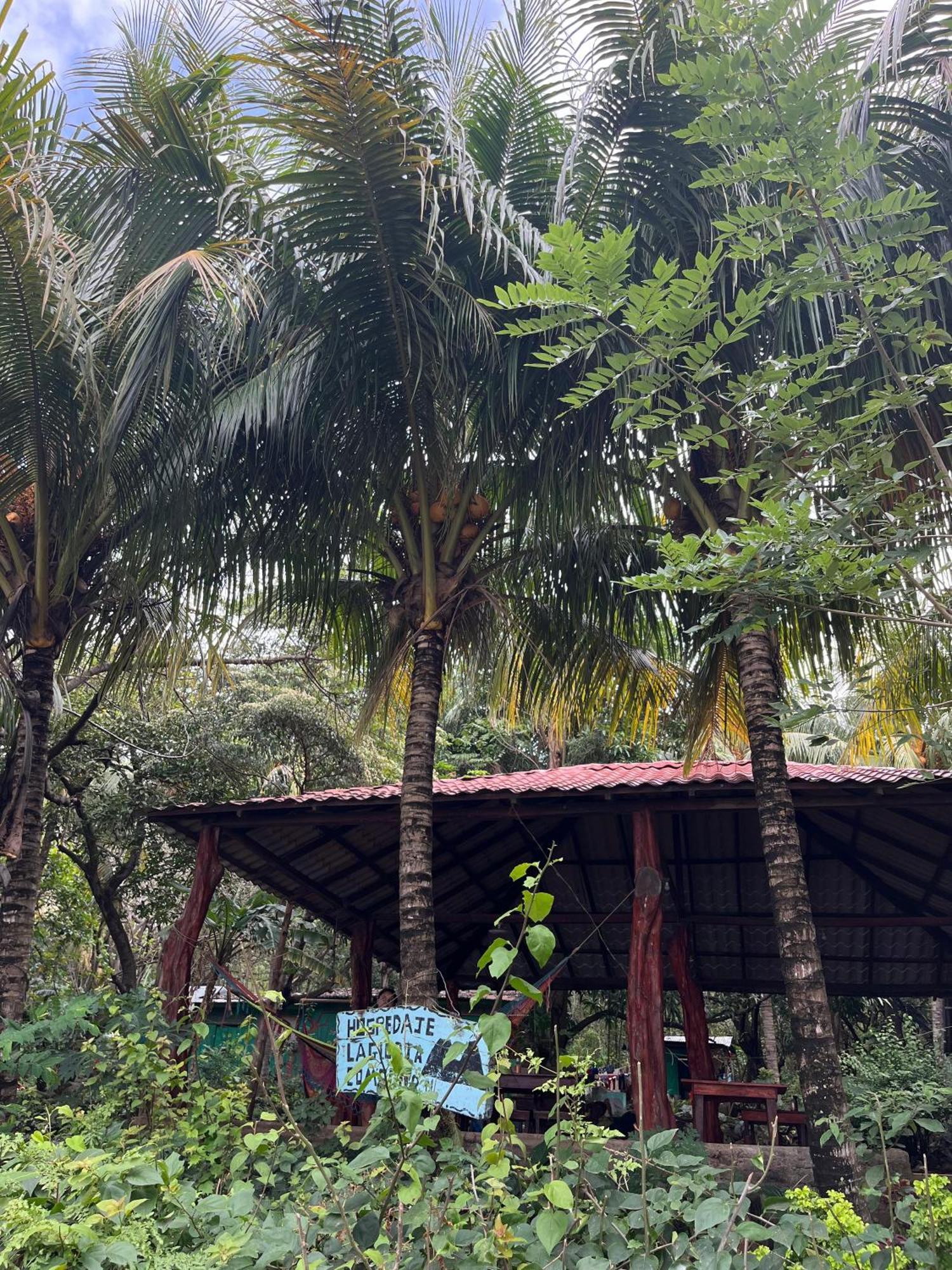 Hostel La Gloria Ometepe Ngoại thất bức ảnh
